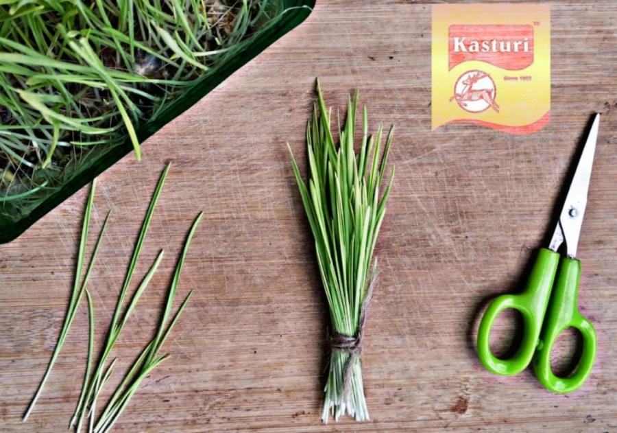 27795fa1-9d31-4fc1-8159-12d9d8a62b6e