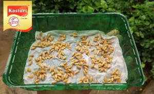 b68c028f-2c94-48a6-91c4-5465d4e6605b