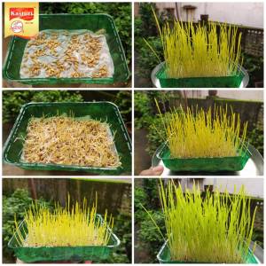 d00812c6-bae4-44a7-a265-02b92fc25025