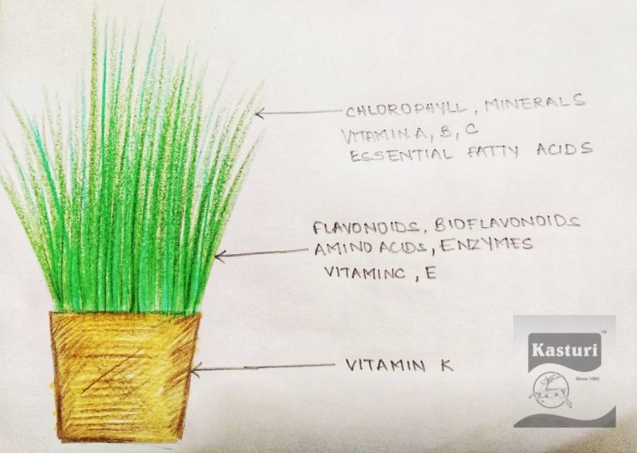 f76d5207-b12d-4935-9eb5-78c9d7d757c4